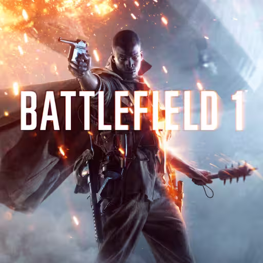 Battlefield™️ 1